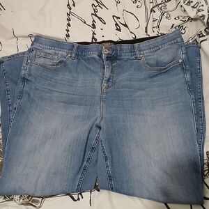 Torrid waistband feel the fit Bombshell skinny stretch 22R Blue Denimwomen jeans